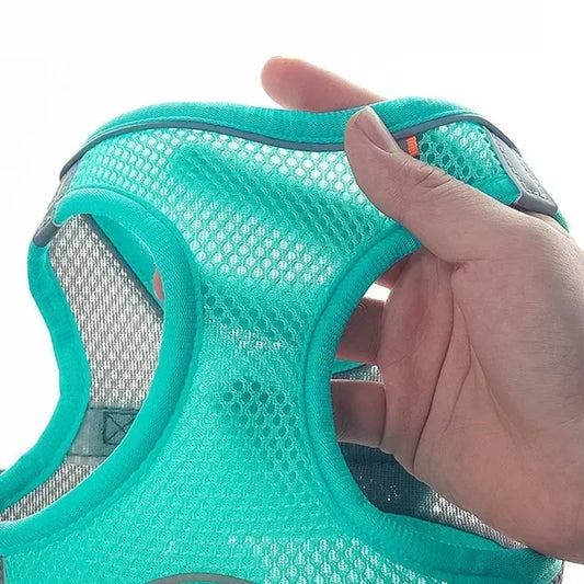 Why Every Small Dog Needs a No-Pull Harness Set (And Not Just a Collar)