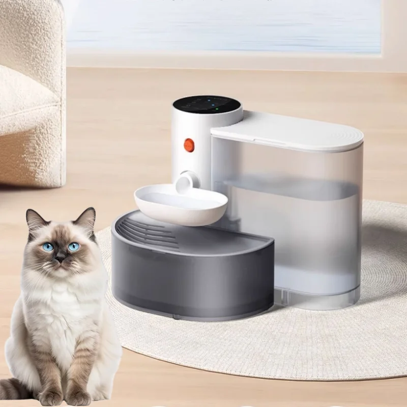 Smart Dump Water Dispenser
