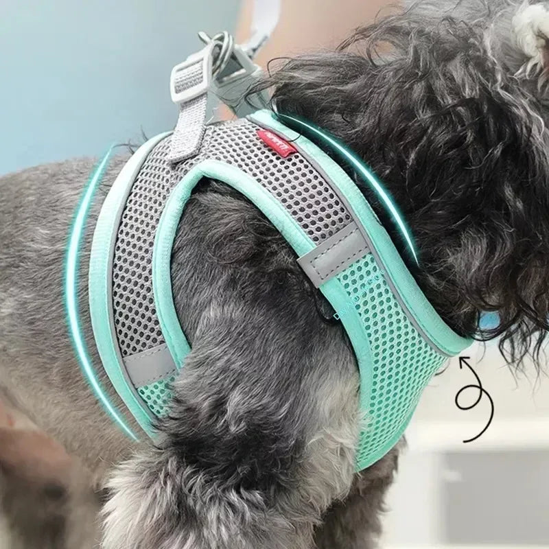 Pet Adjustable Harness