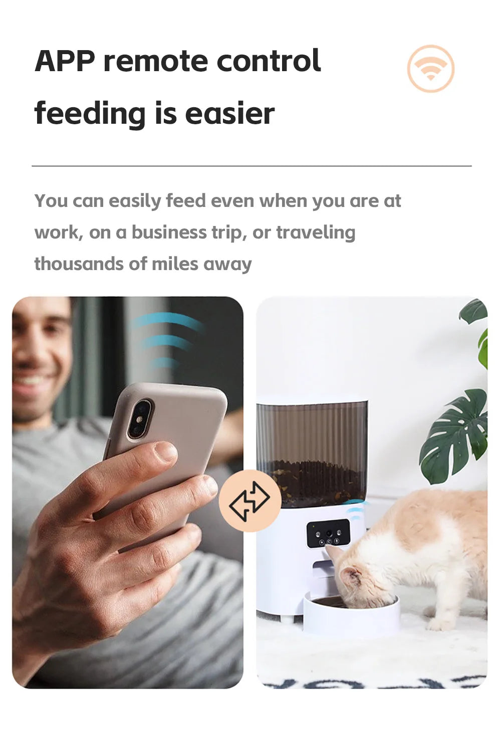 Automatic Pet Feeder
