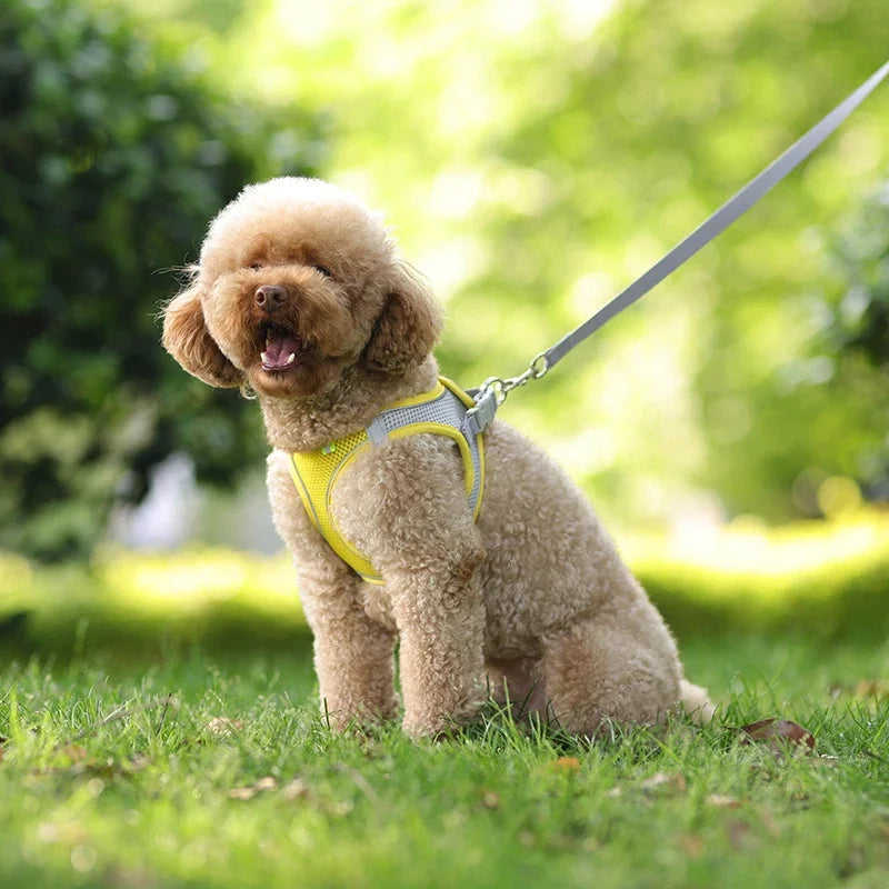 Pet Adjustable Harness