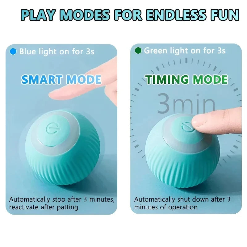Pet Entertainment