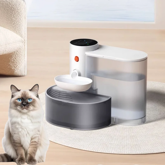 Smart Dump Water Dispenser