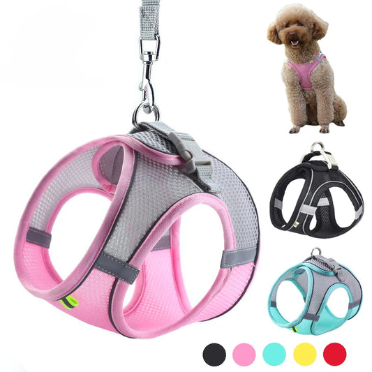 Pet Adjustable Harness